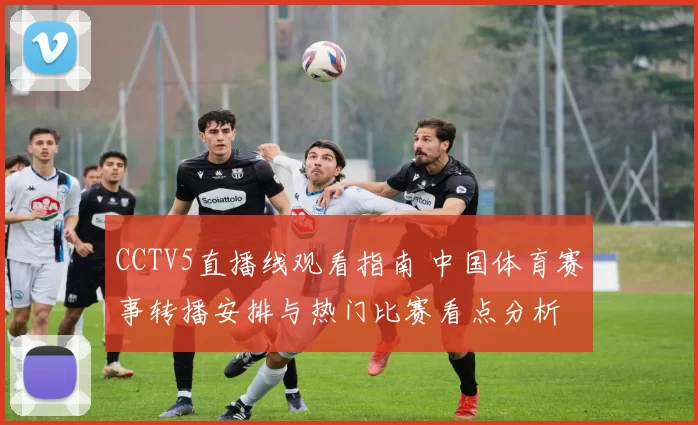 CCTV5直播线观看指南 中国体育赛事转播安排与热门比赛看点分析