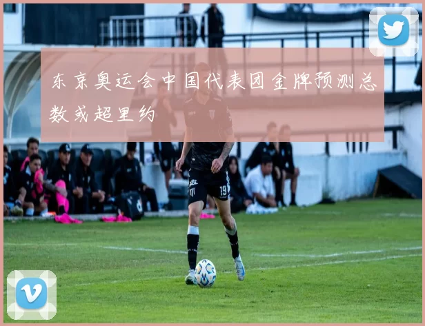 东京奥运会中国代表团金牌预测总数或超里约