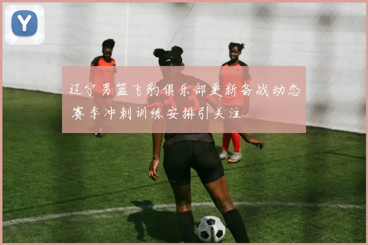 辽宁男篮飞豹俱乐部更新备战动态 赛季冲刺训练安排引关注