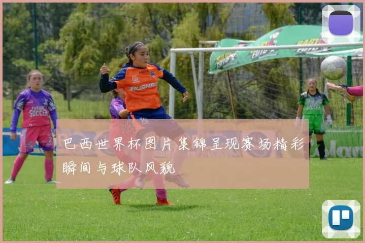 巴西世界杯图片集锦呈现赛场精彩瞬间与球队风貌