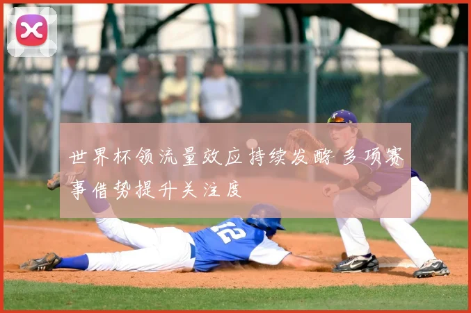 世界杯领流量效应持续发酵 多项赛事借势提升关注度