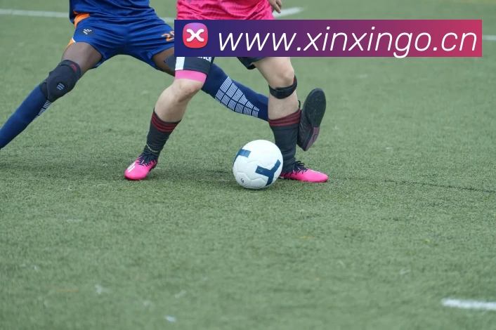 博鱼·官方版网站登录入口 - 博鱼(中国)全站App